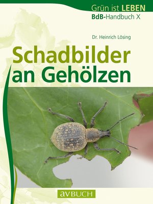 cover image of Schadbilder an Gehölzen